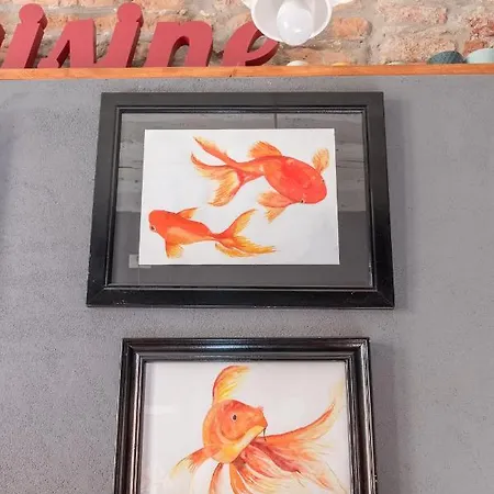 公寓 Rio Marin With Floating Gondolas View 威尼斯